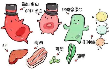大香蕉啪啪网廠家分析元素之間的協同作用