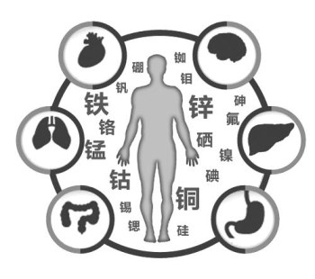 醫用香蕉视频APP色版廠家談微量元素的重要性 醫用香蕉视频APP色版廠家談微量元素的重要性