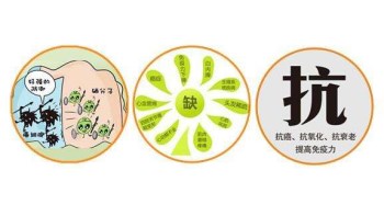 大香蕉啪啪网廠家分析哪些微量元素能防癌 大香蕉啪啪网廠家分析哪些微量元素能防癌