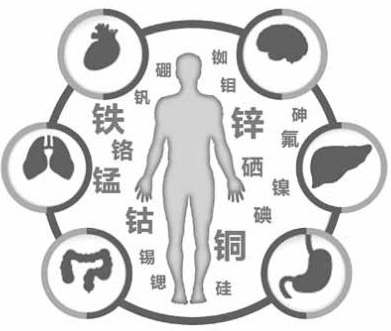 醫用香蕉视频APP色版為香蕉视频网站的健康提供了保障 醫用香蕉视频APP色版為香蕉视频网站的健康提供了保障