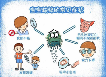 微量元素測試儀廠家解析缺鋅引起的病症 微量元素測試儀廠家解析缺鋅引起的病症