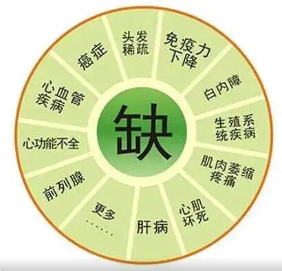 醫用香蕉视频APP色版