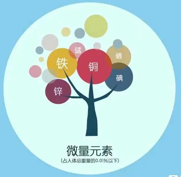 人體香蕉视频APP色版廠家哪家好