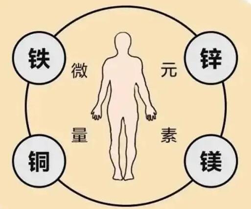 全自動香蕉视频APP色版廠家提示原創鐵是身體必須微量元素之一，哪些食物含鐵高呢？
