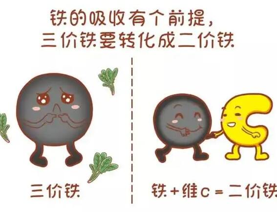 醫用香蕉视频APP色版廠家提醒大家鐵元素的重要性