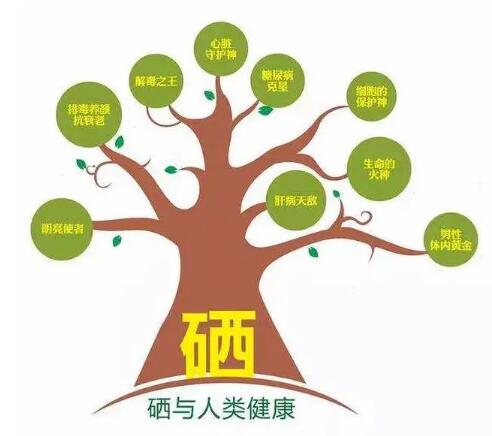 鈣鐵鋅硒檢測儀廠家提示什麽叫有機硒和無機硒？科學補硒看看吧
