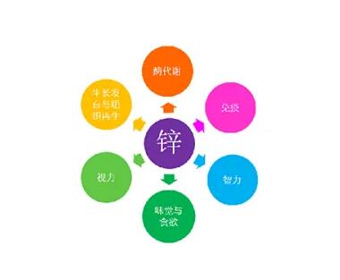 微量元素測定儀廠家提示關愛男士健康，適度補充鋅元素也不能少！