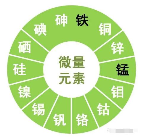 香蕉视频APP色版提示鋅、硒、錳、釩等微量元素對男性生育有哪些作用？